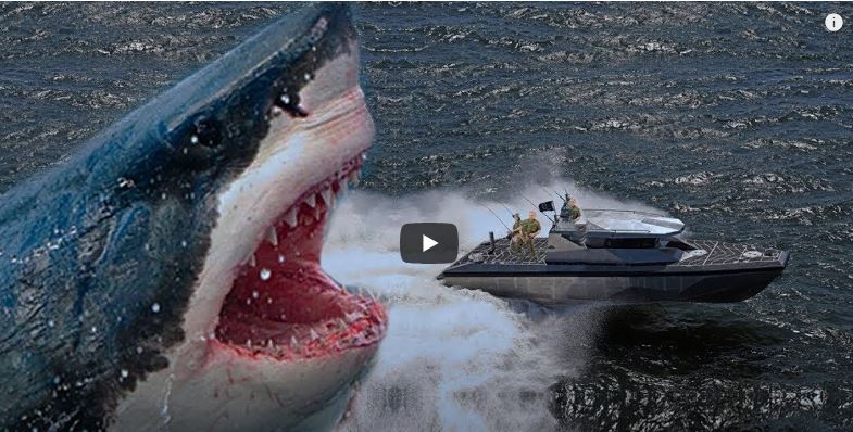 Top 10 Scary Megalodon Facts That Prove They Are Still Lurking Around ...